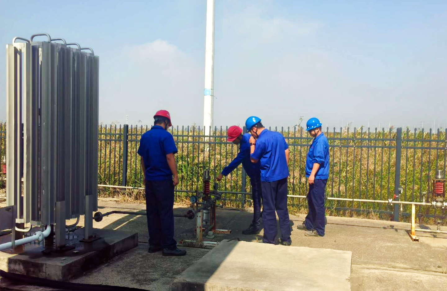 圖片3.png 圖片3.png